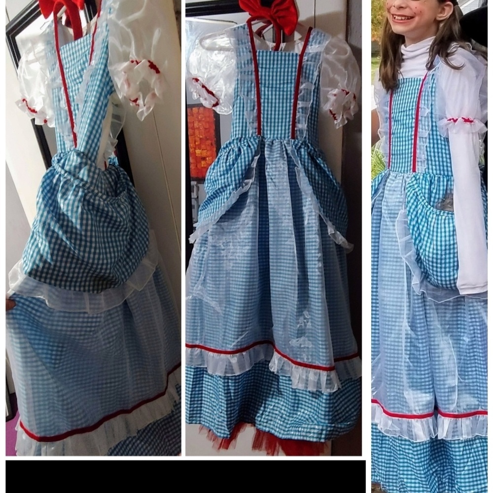 Dorothy Halloween Costume
